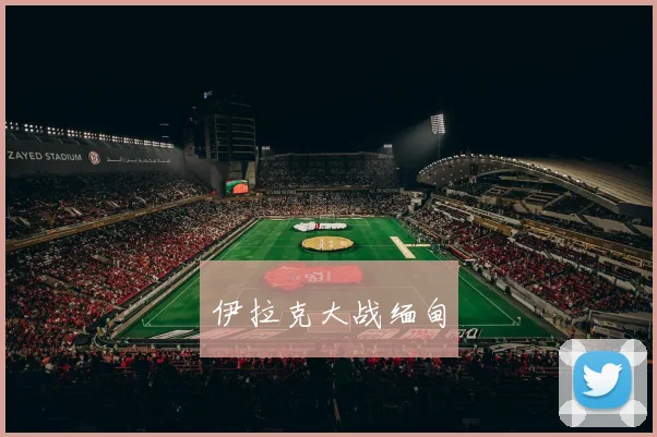 伊拉克大战缅甸