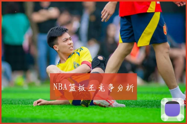 NBA篮板王竞争分析
