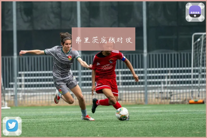 弗里茨底线对攻